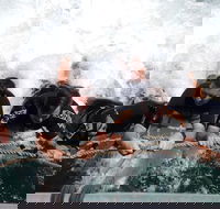 Cruise in Moreton Bay Marine Park and Moreton Island - Great Ocean Road Tourism