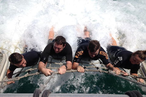 Cruise In Moreton Bay Marine Park And Moreton Island - Great Ocean Road Tourism 0