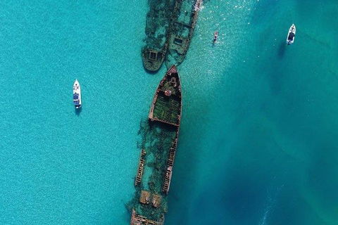 Cruise In Moreton Bay Marine Park And Moreton Island - Great Ocean Road Tourism 1