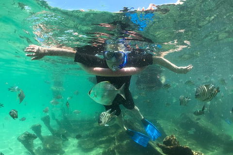 Cruise In Moreton Bay Marine Park And Moreton Island - Great Ocean Road Tourism 5