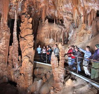 Private Tour Jenolan Caves  Blue Mountains in a day - Great Ocean Road Tourism