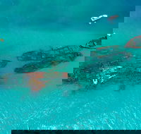 Private Tangalooma Wrecks Tour - Great Ocean Road Tourism