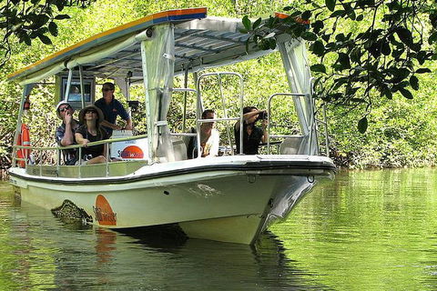 5-Day Best Of Cairns With Daintree, Kuranda, And Great Barrier Reef - Great Ocean Road Tourism 1