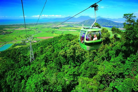 5-Day Best Of Cairns With Daintree, Kuranda, And Great Barrier Reef - Great Ocean Road Tourism 2