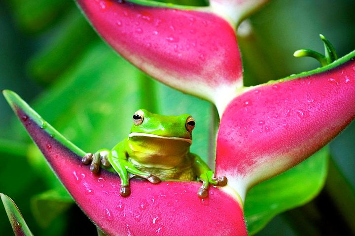 Westcourt QLD Great Ocean Road Tourism
