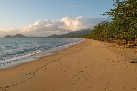 Cairns Reef And Rainforest Combo: Daintree Rainforest And The Great Barrier Reef - Great Ocean Road Tourism 4