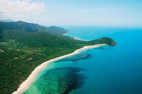 Cape Tribulation, Mossman Gorge, And Daintree Rainforest Premium Day Tour - Great Ocean Road Tourism 2