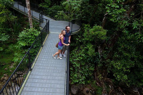 Cape Tribulation, Mossman Gorge, And Daintree Rainforest Premium Day Tour - Great Ocean Road Tourism 3