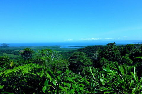 Cape Tribulation, Mossman Gorge, And Daintree Rainforest Premium Day Tour - Great Ocean Road Tourism 5