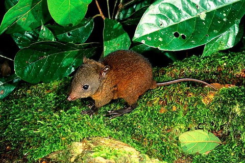 3-Day Small-Group Tour Of North Queensland With Pick Up - Great Ocean Road Tourism 0