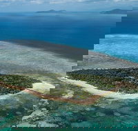 4-Day Cairns with Great Barrier Reef and Daintree Rainforest - Great Ocean Road Tourism