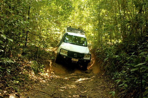 Cairns National Park Rainforest And Waterfall Small Group Tour Shore Excursion - Great Ocean Road Tourism 0
