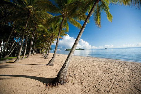Kuranda Day Trip From Port Douglas Upgrade To Skyrail & Scenic Train Available - Great Ocean Road Tourism 1