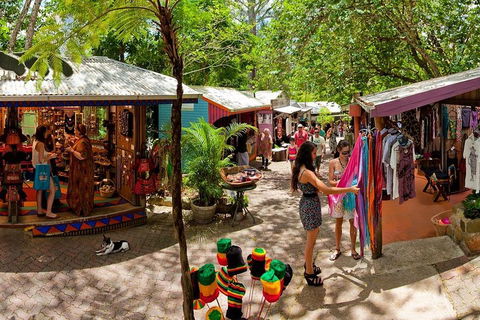 Kuranda Day Trip From Port Douglas Upgrade To Skyrail & Scenic Train Available - Great Ocean Road Tourism 2