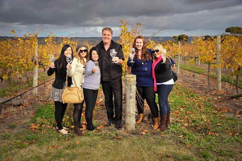 McLaren Vale Winery Small Group Tour With Wine Tasting And Lunch - Great Ocean Road Tourism 3