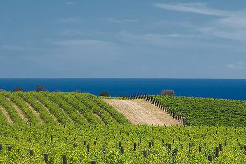McLaren Vale Winery Small Group Tour With Wine Tasting And Lunch - Great Ocean Road Tourism 4