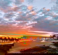 1 Hour Broome Sunset Camel Tour - Great Ocean Road Tourism
