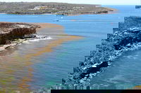 Half day Manly Beach and more, Sydney