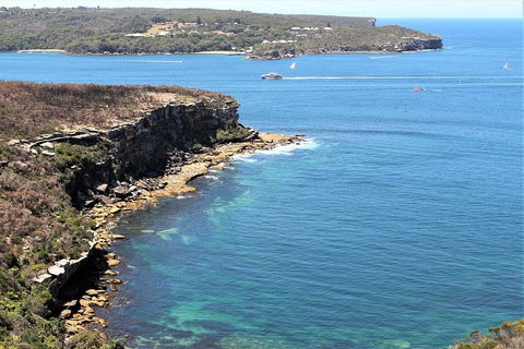 Half Day Manly Beach And More - Great Ocean Road Tourism 0