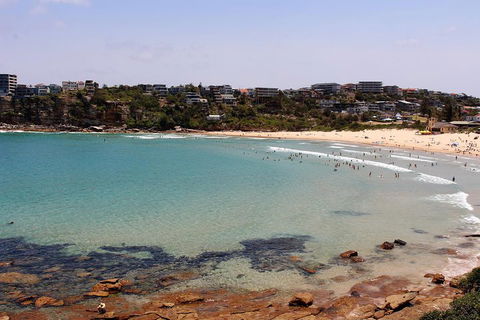 Half Day Manly Beach And More - Great Ocean Road Tourism 2