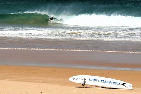 Half Day Manly Beach And More - Great Ocean Road Tourism 5