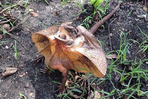 Litchfield National Park And Jumping Crocodile Cruise - Great Ocean Road Tourism 1