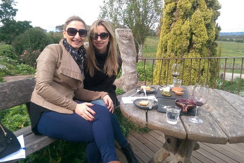 McLaren Vale Intimate Winery Tour By Private Limo - Great Ocean Road Tourism 4