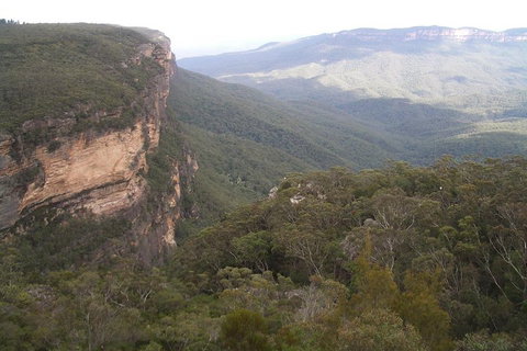Full-Day Private Blue Mountains Tour With River Cruise - Great Ocean Road Tourism 3
