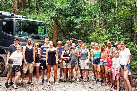 Fraser Island 4WD Tour From Noosa - Great Ocean Road Tourism 3