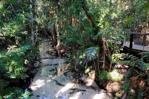 Fraser Island 4WD Tour From Rainbow Beach - Great Ocean Road Tourism 0