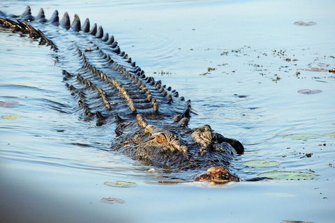 Ethical Adventures - Best In The WET - Litchfield / Kakadu 3 Day- Max 10 Guests - Great Ocean Road Tourism 4