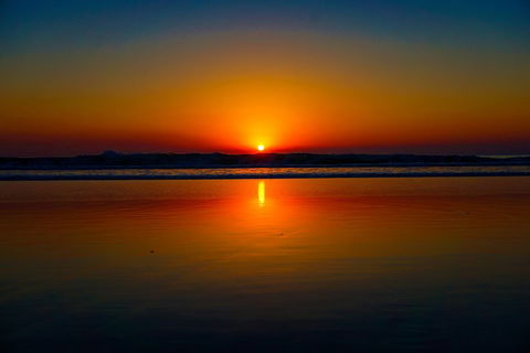 Glow Worms Private Tour - Nocturnal Rainforest Walk - Great Ocean Road Tourism 3