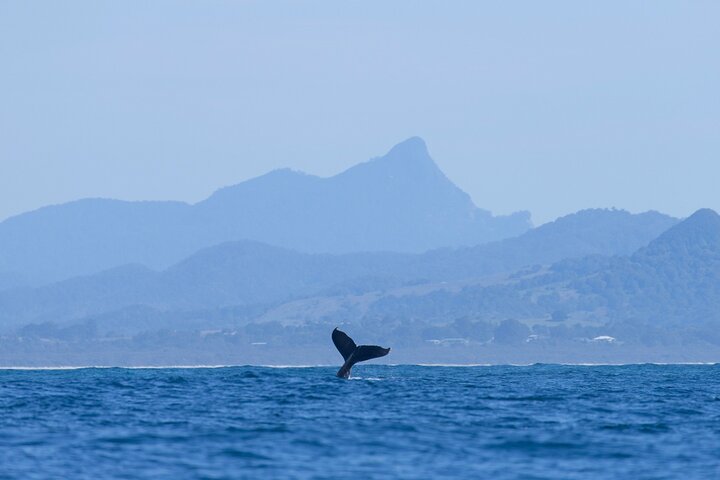  Great Ocean Road Tourism