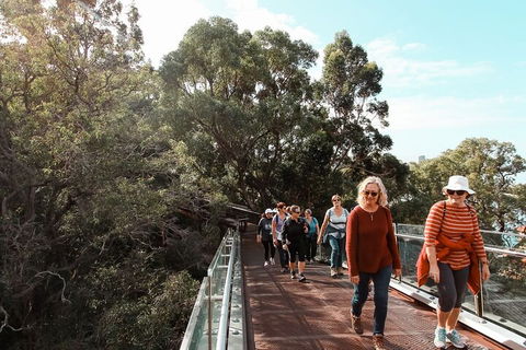 Highlights Of Kings Park - Great Ocean Road Tourism 3
