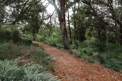 Highlights Of Kings Park - Great Ocean Road Tourism 5