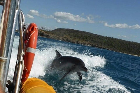 Noosa Oceanrider - Adventure Tour - Great Ocean Road Tourism 1