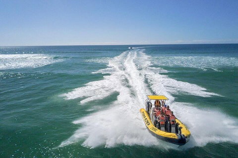 Noosa Oceanrider - Adventure Tour - Great Ocean Road Tourism 2