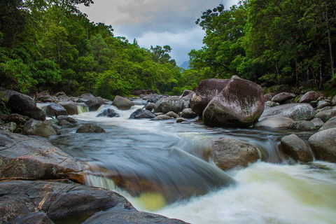 Cape Tribulation Day Tour - Great Ocean Road Tourism 0