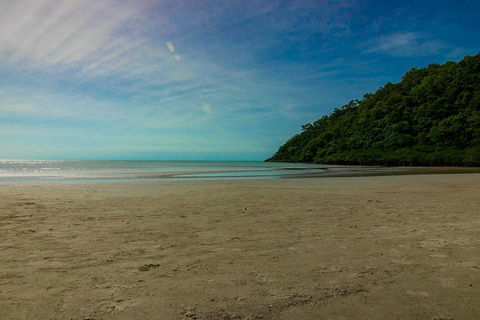 Cape Tribulation Day Tour - Great Ocean Road Tourism 2