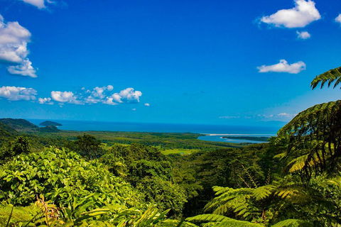 Cape Tribulation Day Tour - Great Ocean Road Tourism 3