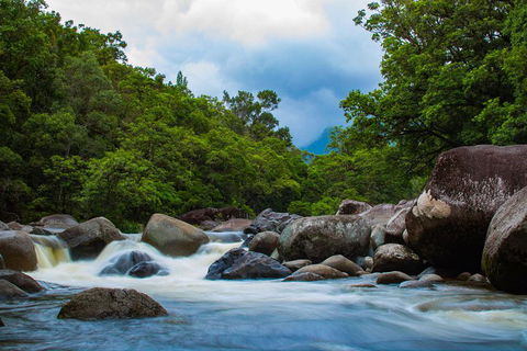 Cape Tribulation Day Tour - Great Ocean Road Tourism 4