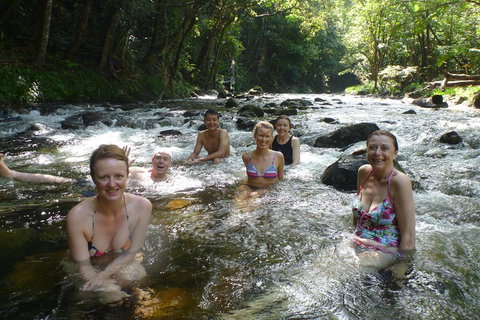 Daintree Rainforest, Cape Tribulation, Mossman Gorge Small-Group Day Tour - Great Ocean Road Tourism 0