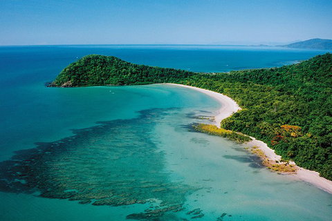Daintree Rainforest, Cape Tribulation, Mossman Gorge Small-Group Day Tour - Great Ocean Road Tourism 4