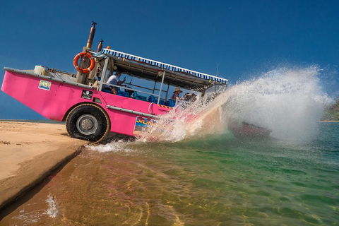 Town Of 1770 Afternoon Cruise - Great Ocean Road Tourism 2