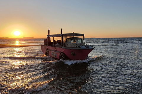Town Of 1770 Afternoon Cruise - Great Ocean Road Tourism 3