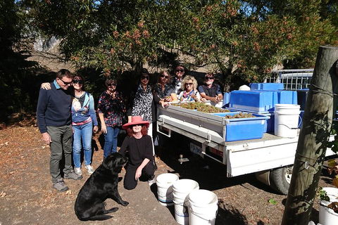 Valleys Of Vino Tour - Great Ocean Road Tourism 1