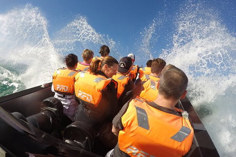 Noosa Thriller - 500hp Ocean Adventure Ride - Great Ocean Road Tourism 4