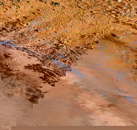 Scenic Flight Lizard Safari - Great Ocean Road Tourism