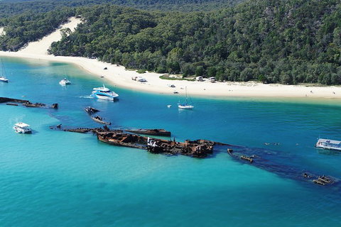 All Inclusive Dolphin And Tangalooma Wrecks Cruise - Great Ocean Road Tourism 4
