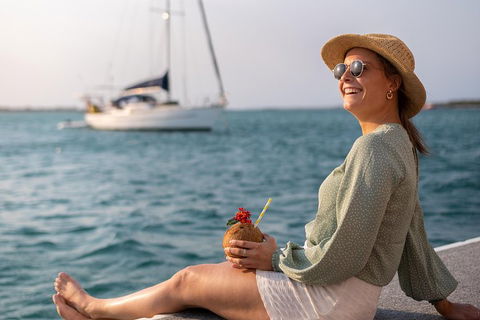 All Inclusive Dolphin And Tangalooma Wrecks Cruise - Great Ocean Road Tourism 5